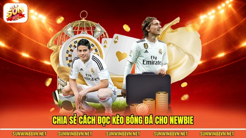 Chia sẻ cách đọc kèo bóng đá cho newbie